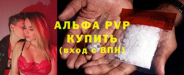 молекула духа Арсеньев
