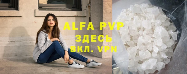 молекула духа Арсеньев