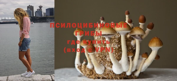 молекула духа Аркадак