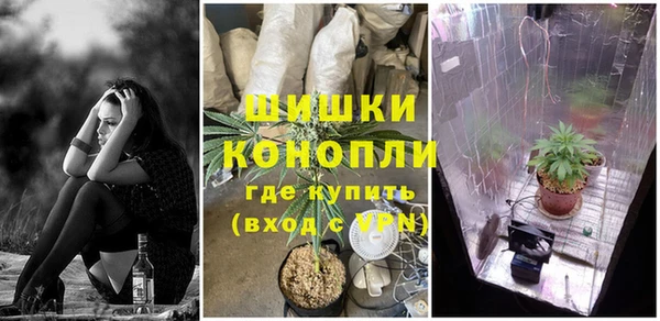 молекула духа Аркадак