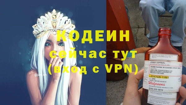 молекула духа Арсеньев